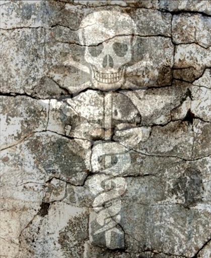 Caduceus with Death's Head on Cracked Wall