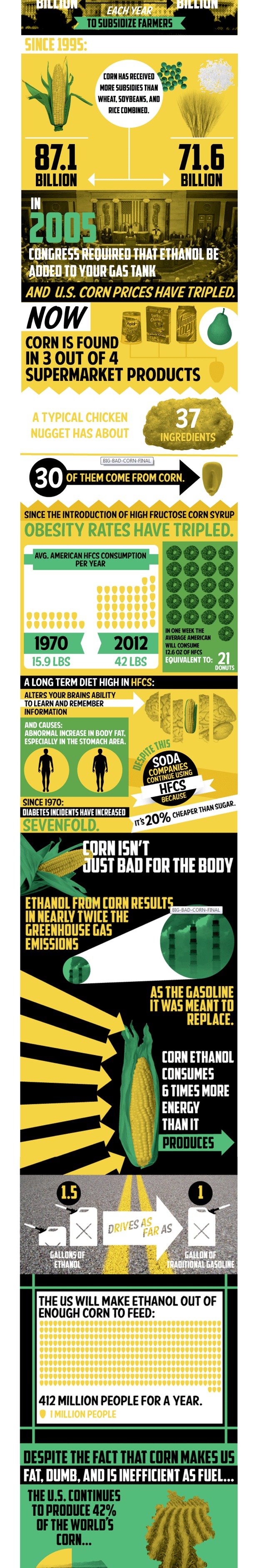 Corn Infographic