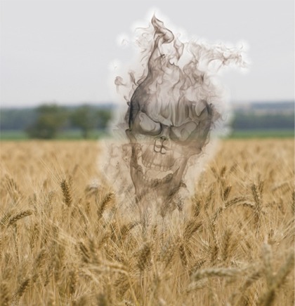 Wheat field emitting smoky skull