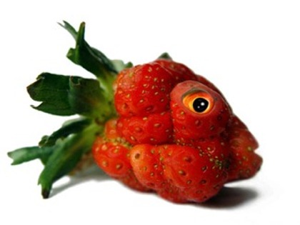 GM Fish-Strawberry