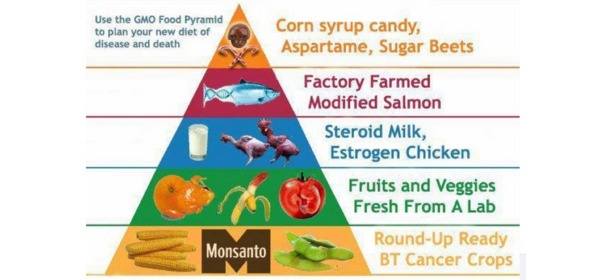 GMO Food Pyramid of Death