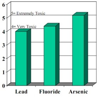 Relative Toxicity of Lead, Fluoride, and Arsenic