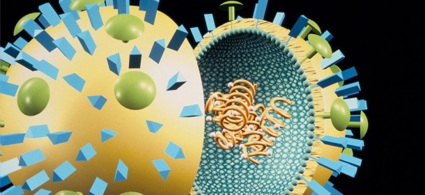 Influenza Virus, by Sanofi Pasteur