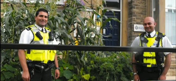 Corn Growing in Front of the Todmorden Police Station