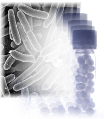 Homeopathy Pills and Bacteria