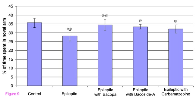 Maze solving ability in epilepsy-induced rats