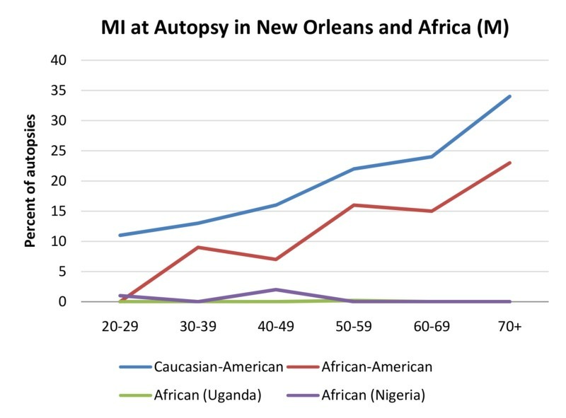 MI - New Orleans and Africa