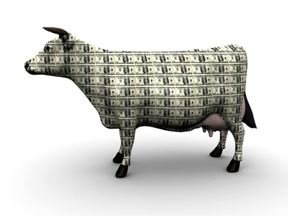 Cash Cow