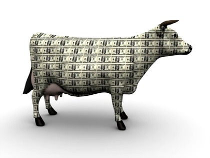 Cash Cow