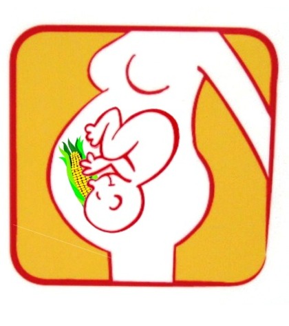 Fetus Hugging Corn