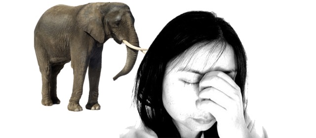 Woman ignoring elephant