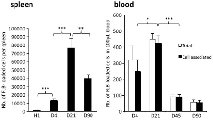Graphs of FLBs found in Spleen and Blood
