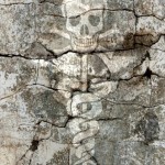 Caduceus-with-Deaths-Head-on-Cracked-Wall
