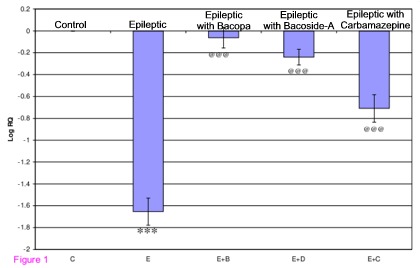 Graph of GABA receptors, induced epilepsy in rats